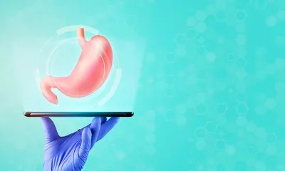 How is the Stomach Protected from Self Digestion?