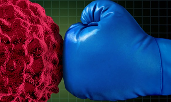 What Causes a Weak Immune System
