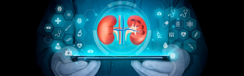How Many Stages of Kidney Disease Are There? How Many Stages of Kidney Disease Are There?