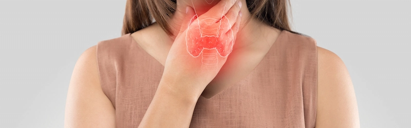 What Are Thyroid Stimulating Hormones