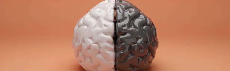 How Long Does Latuda Take to Work How Long Does Latuda Take to Work