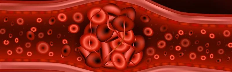 Why Is Eliquis Taken Twice a Day Why Is Eliquis Taken Twice a Day