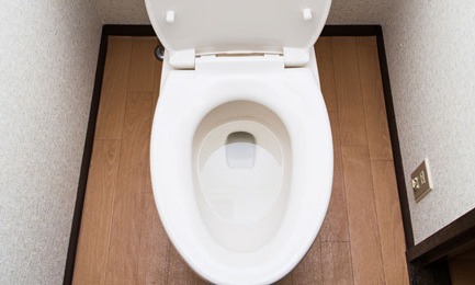 Frequent Urination - Do you have to go to the loo all the time?
