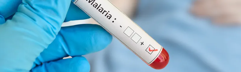 What Is Malarone - What Is Malarone Used For
