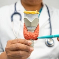 Is 50 Mcg of Levothyroxine a High Dose? Dosage Guide