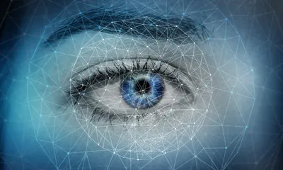 Can Allergies Cause Floaters in the Eye