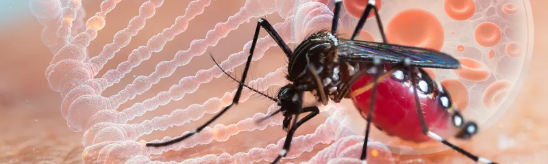 Does Malaria Cause Thrombocytopenia