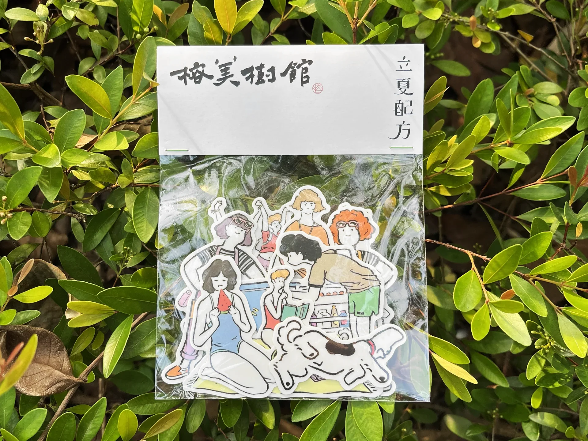 透明袋釘頭卡包裝 - 4