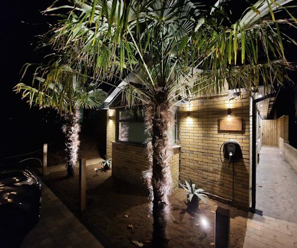 Palm Tree front aspect