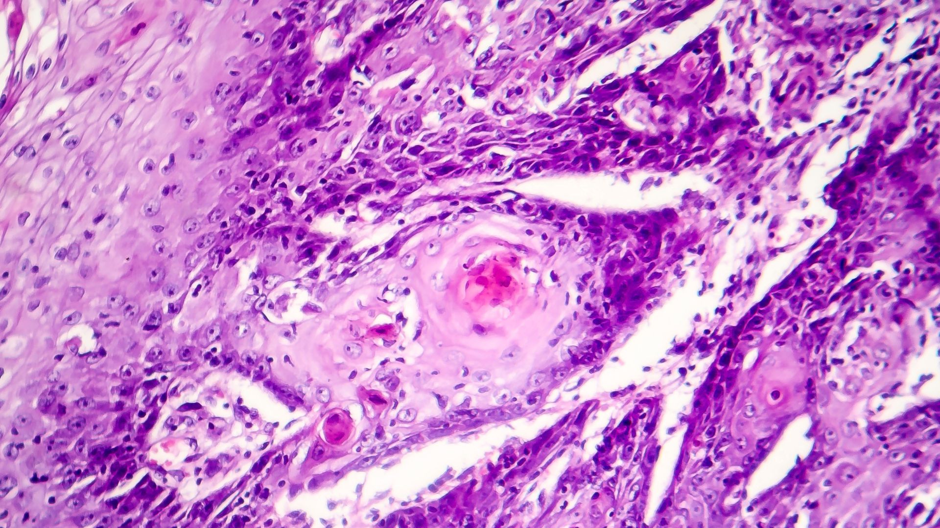WA Dermatopathology Training Accreditation banner 1920x1080