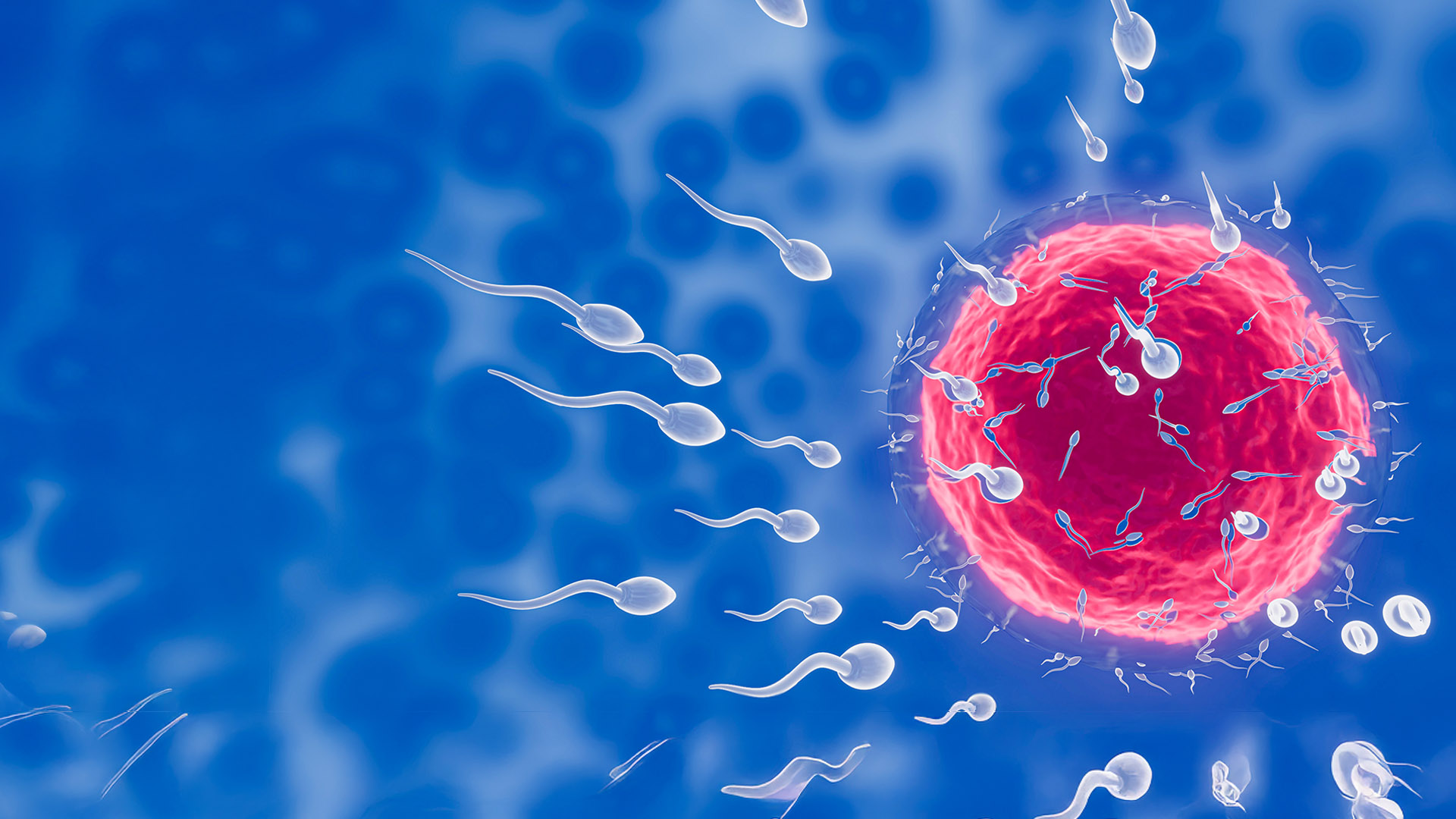 Semen