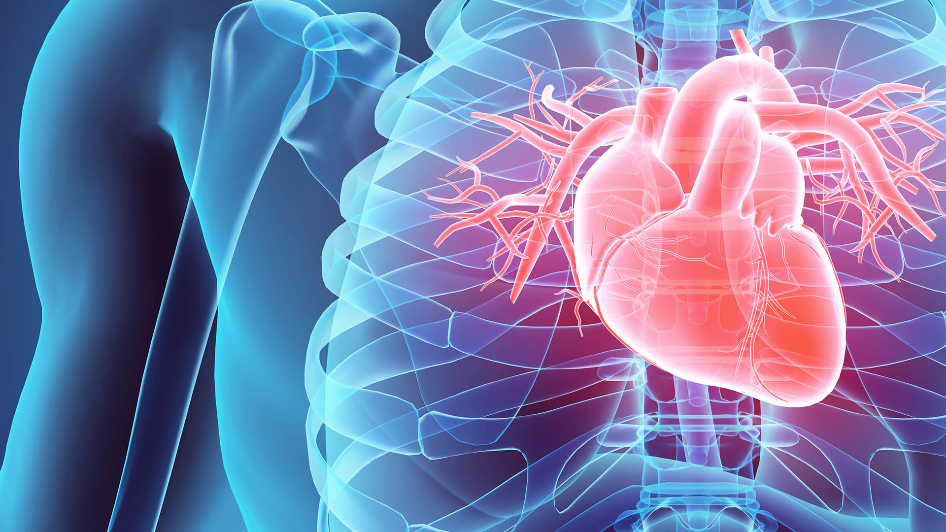 Cardiac Testing 
