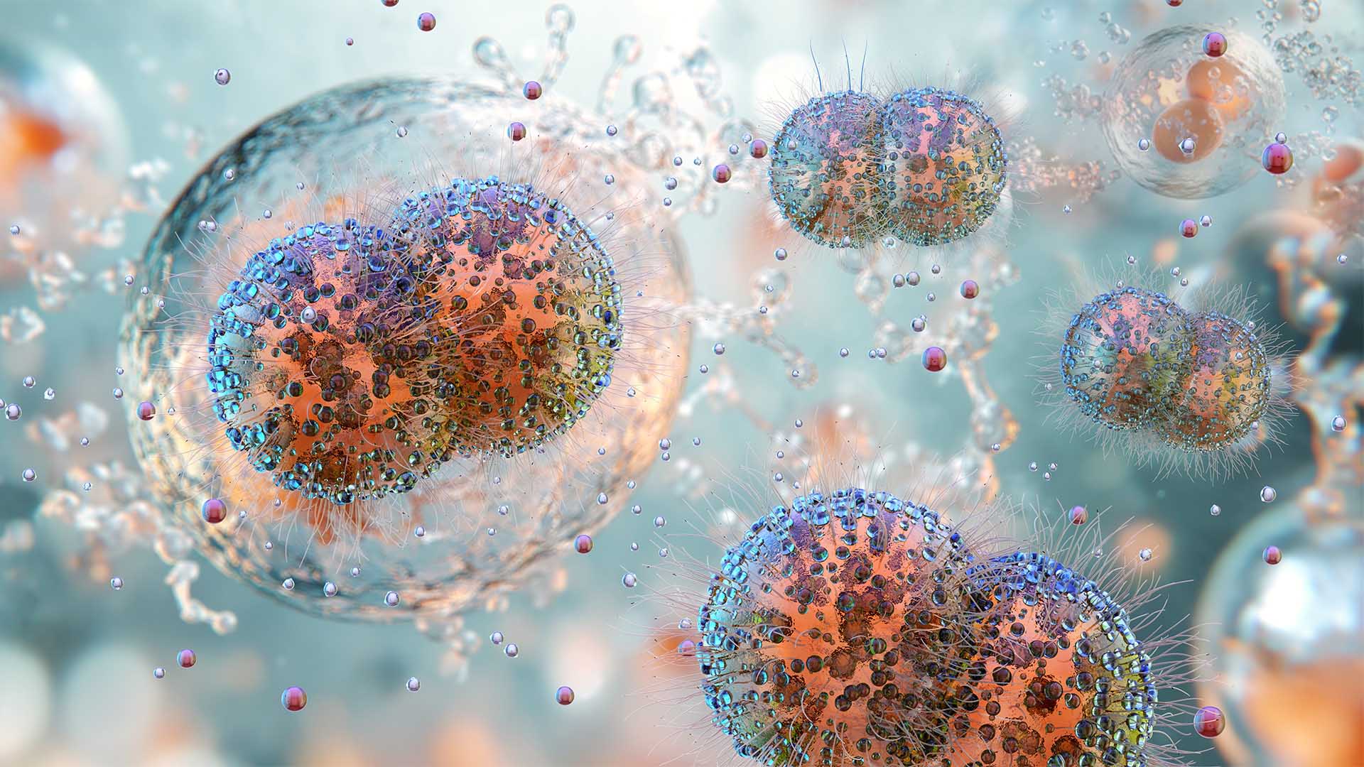December 2024 Pathology Focus Season's Greetings