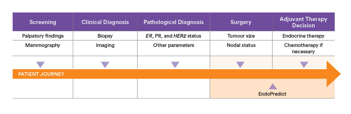 EP Patient Journey