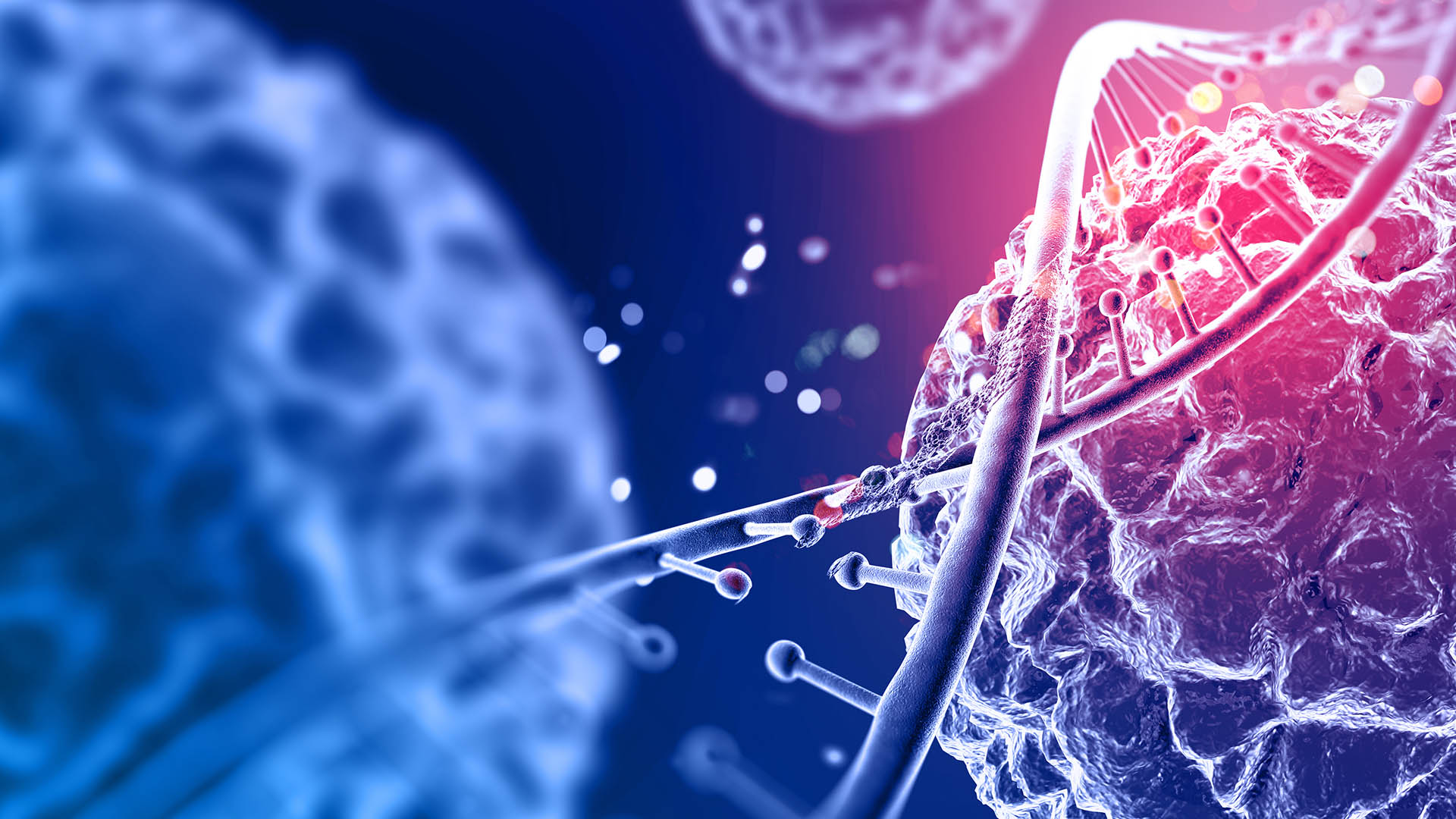 Molecular Cancer