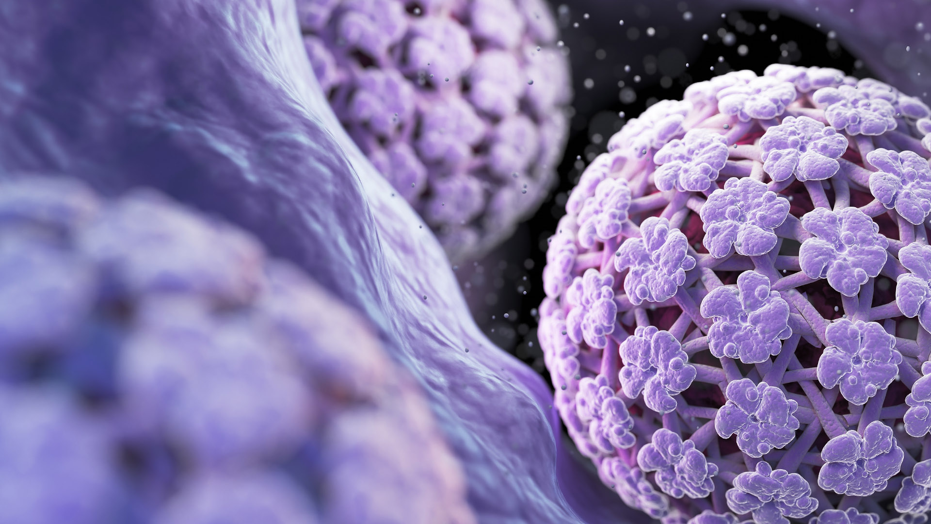 National Cervical Screening Program - March 2026 Path Focus