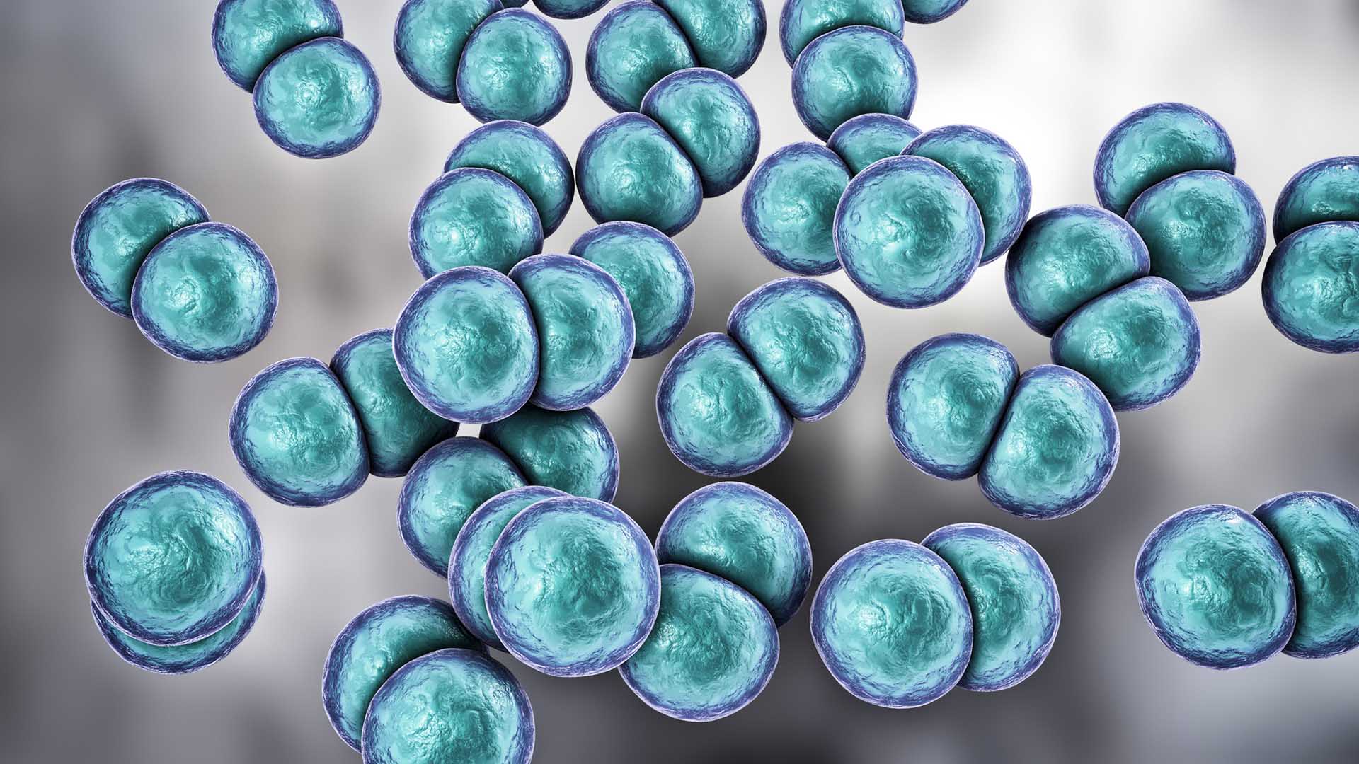 Gonorrhoea