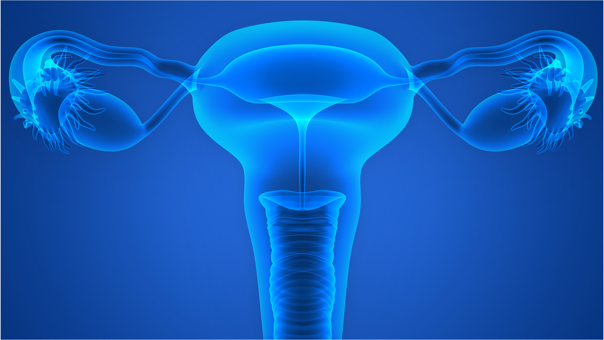 Sept 2020 - Hormone fertility testing