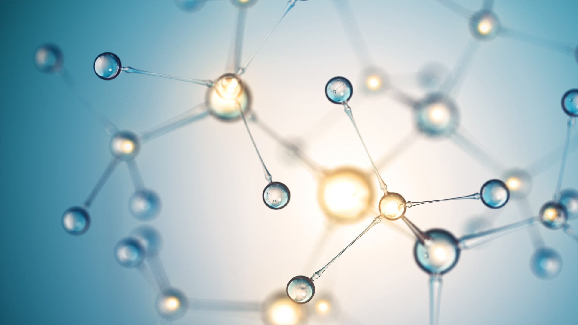 Pathology Focus Sept 2026 - Vitamin D Article