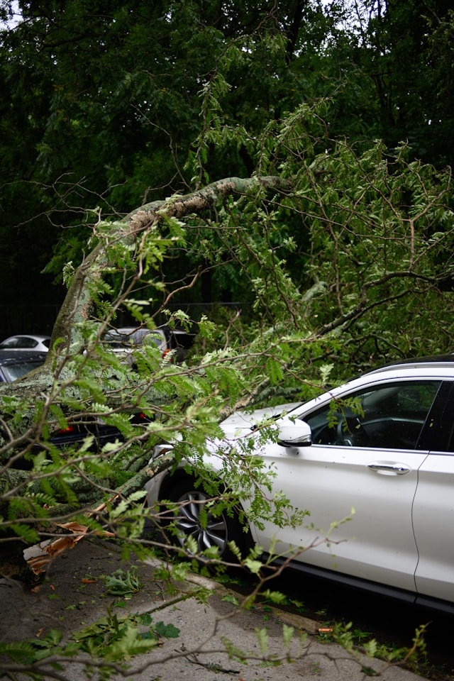 Car Damage Tree