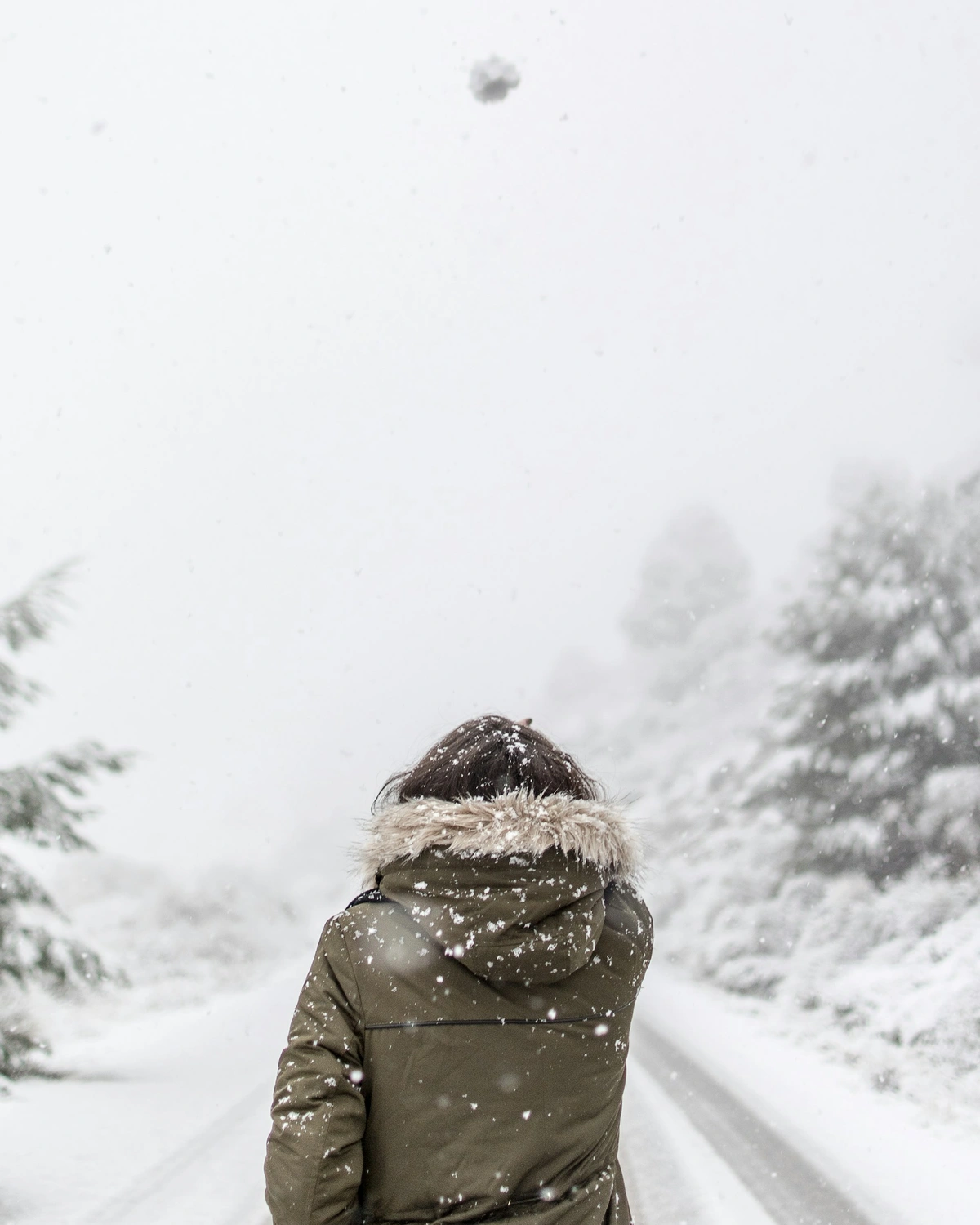 Winter Storm Woman Walking