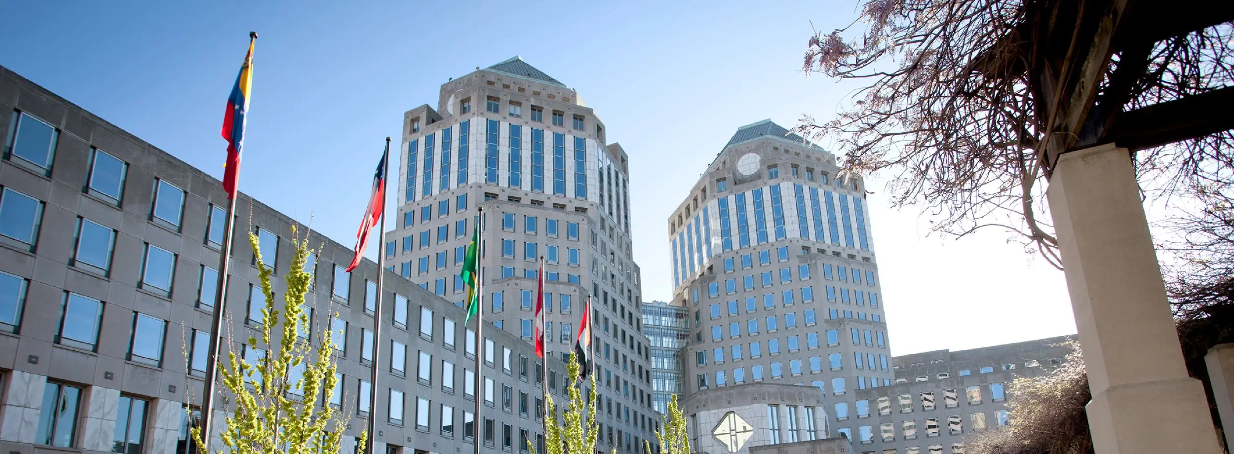 Strong Leadership to Take P&G Forward | Procter & Gamble