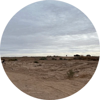 A wide desert field with a scattering of dry bushes