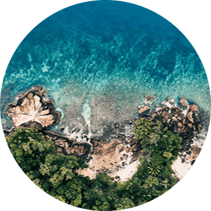 Picture of Palawan oceanfront