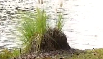 A Story of Responsible Paper Sourcing