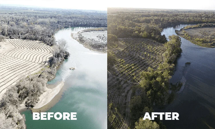 Brayton before and after