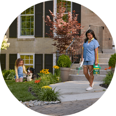 A young mom sprays a weed killer on the plants and grass in her home’s front yard. A young girl and large dog sit on a corner of the grass.