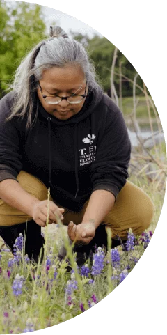 A woman tends to purple flowers in a field.