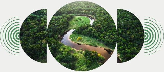 A river runs through a lush green valley full of trees