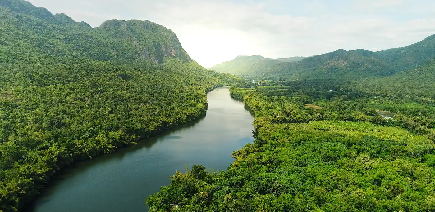 Bird's-eye view of a winding river surrounded by lush greenery and rolling hills.