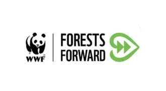 The WWF Forests Forward logo. A panda and a leaf with two arrows pointing to the right.