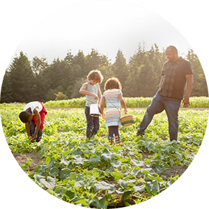 Photo – Sustainability