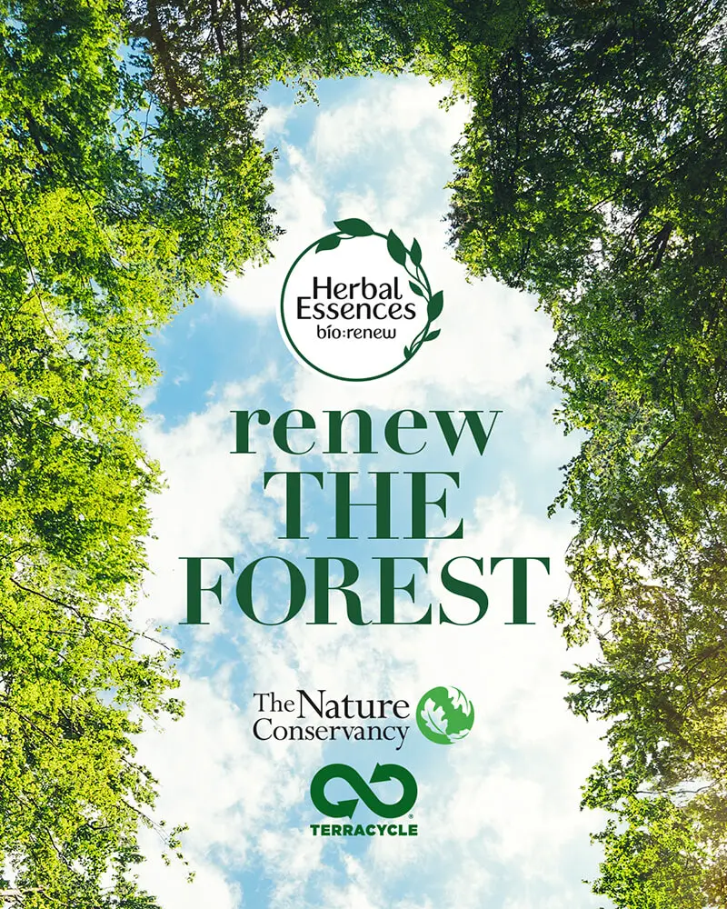 Herbal Essences - renew the forest