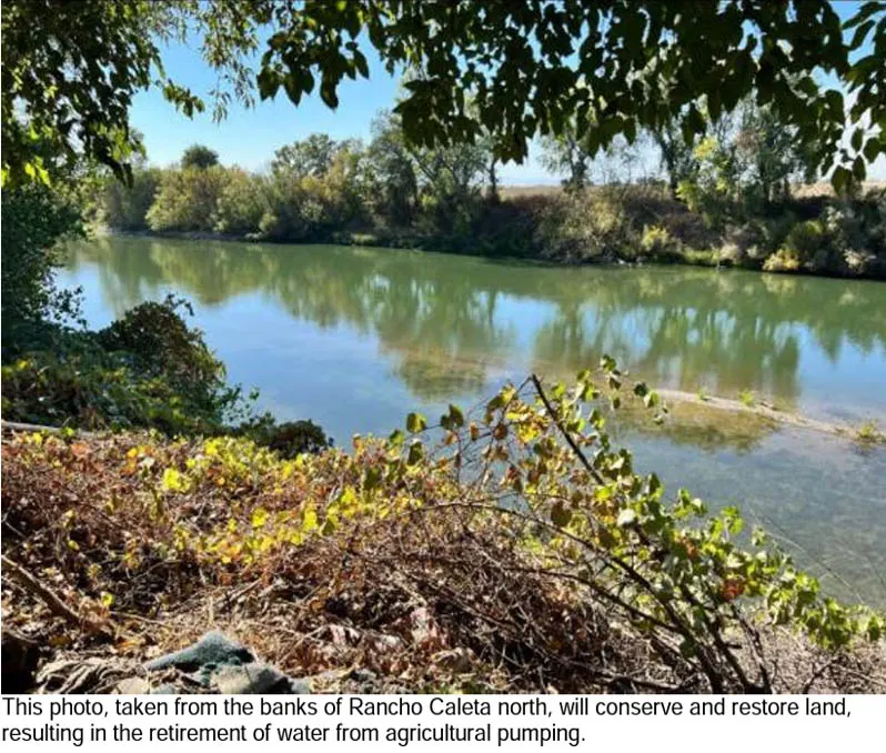 Trees and green and brown brush line both sides of a small and calm river.