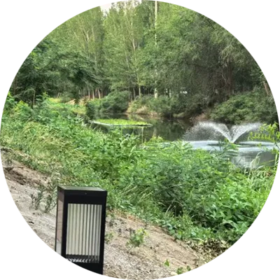 A canal bank with green plants and brick walkway.