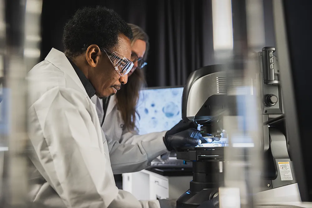 Scientist in a laboratory using a microscope, examining samples as part of product research and development.