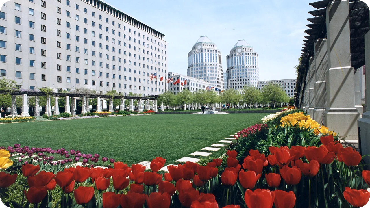Red tulips in the foreground frame a landscaped urban plaza with a wide green lawn, modern office buildings, and two matching towers under a clear sky