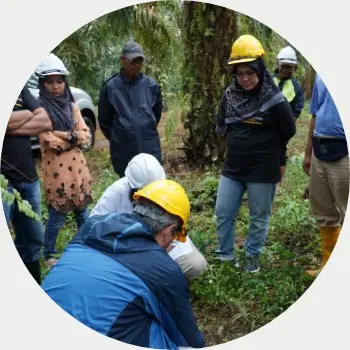 A group of people wearing hard hats monitor plants in a green forest