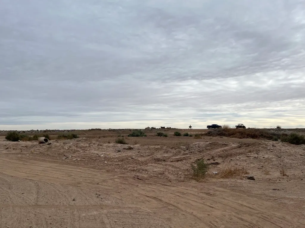 A wide desert field with a scattering of dry bushes.