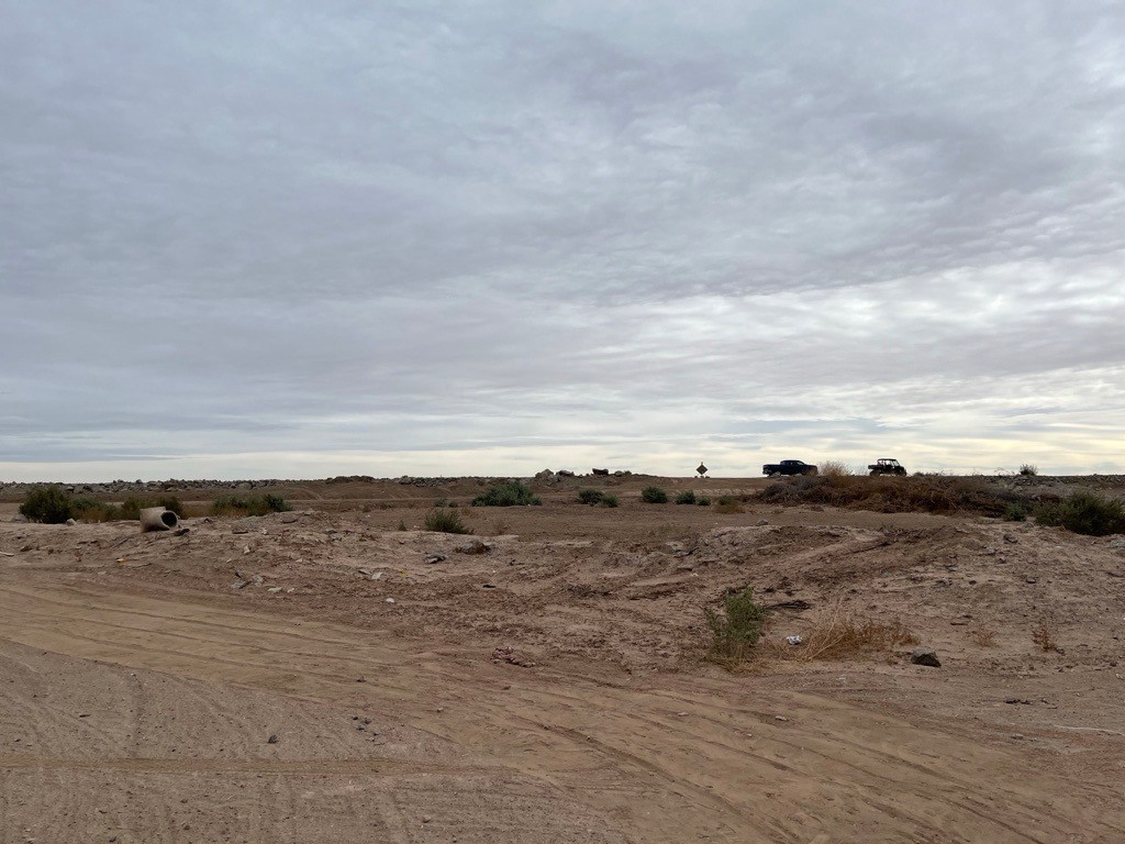 A wide desert field with a scattering of dry bushes.