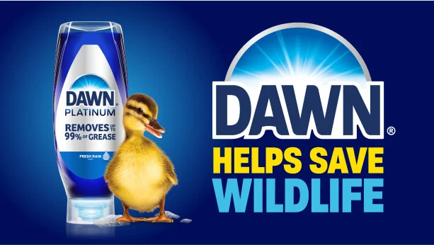 A duckling next to a bottle of Dawn Platinum EZ Squeeze. Dawn Helps Save Wildlife is written beside.