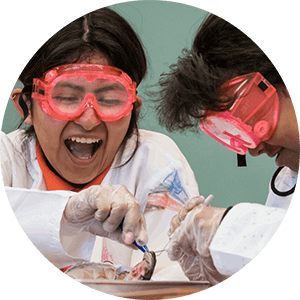 Girls scientists - STEM