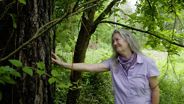Stacey Locke, a forestry steward who works with Procter & Gamble.