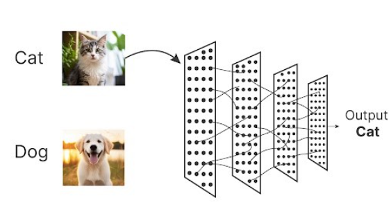 image classification