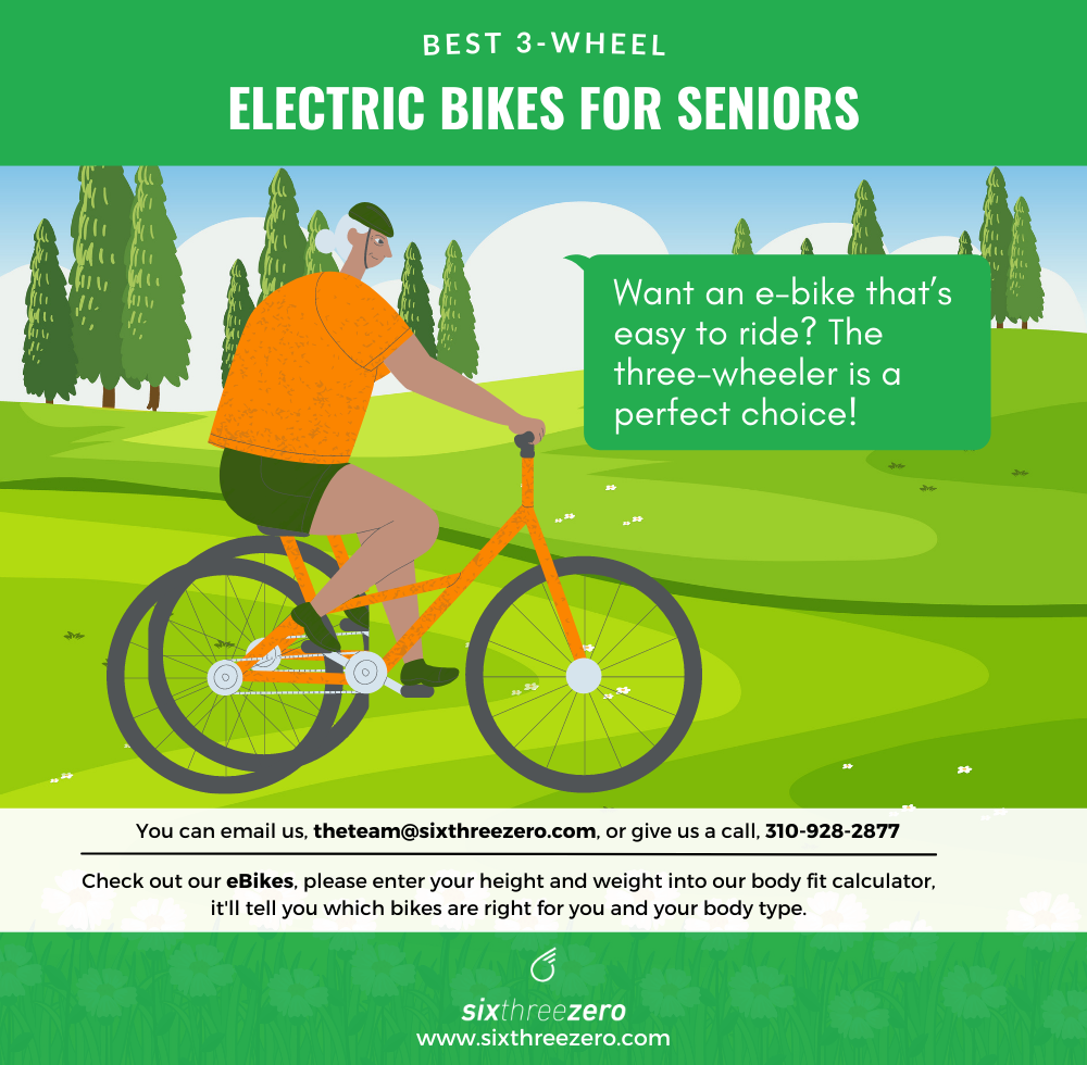 Best 3-Wheel Electric Bikes for Seniors 