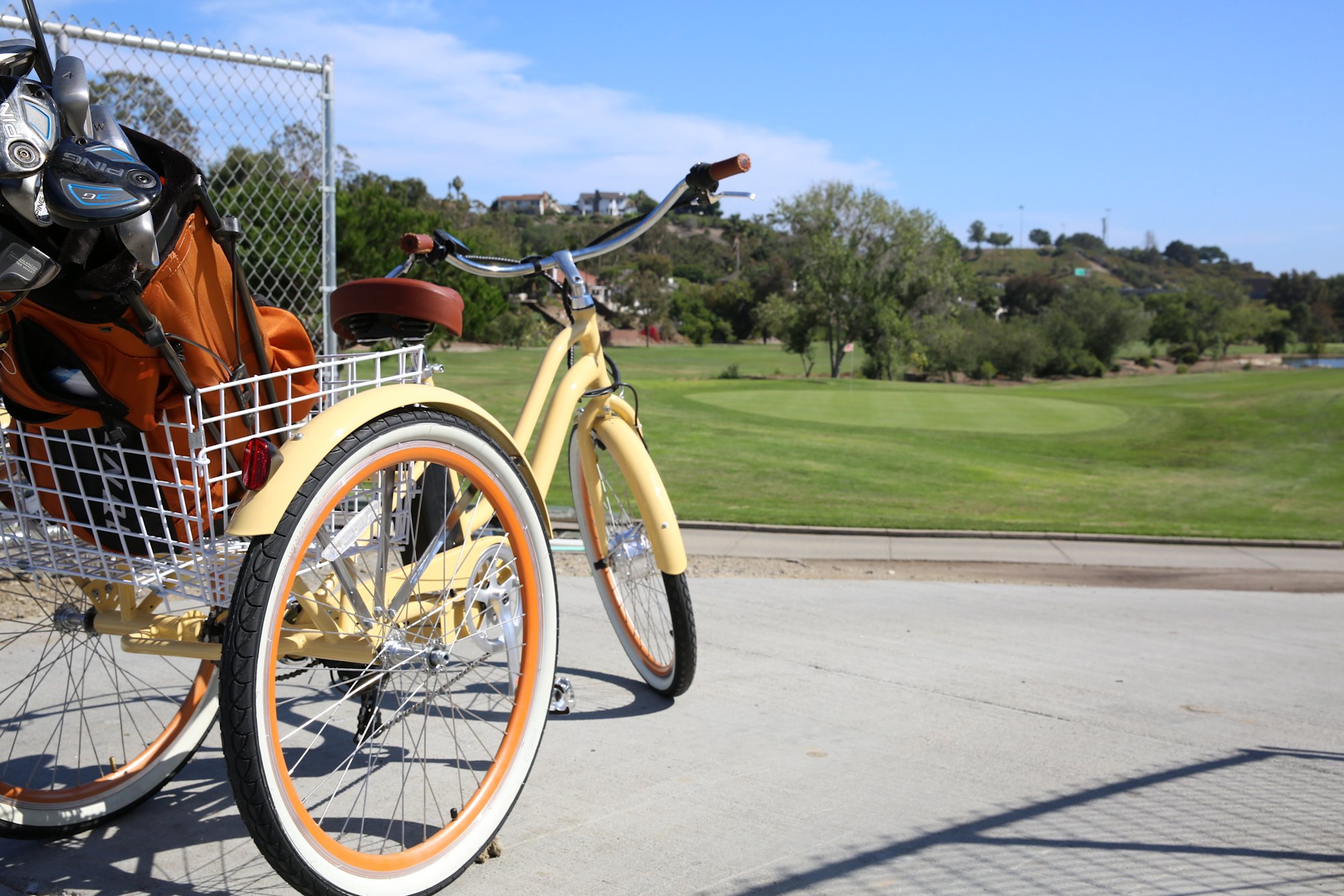 adult trike with gears